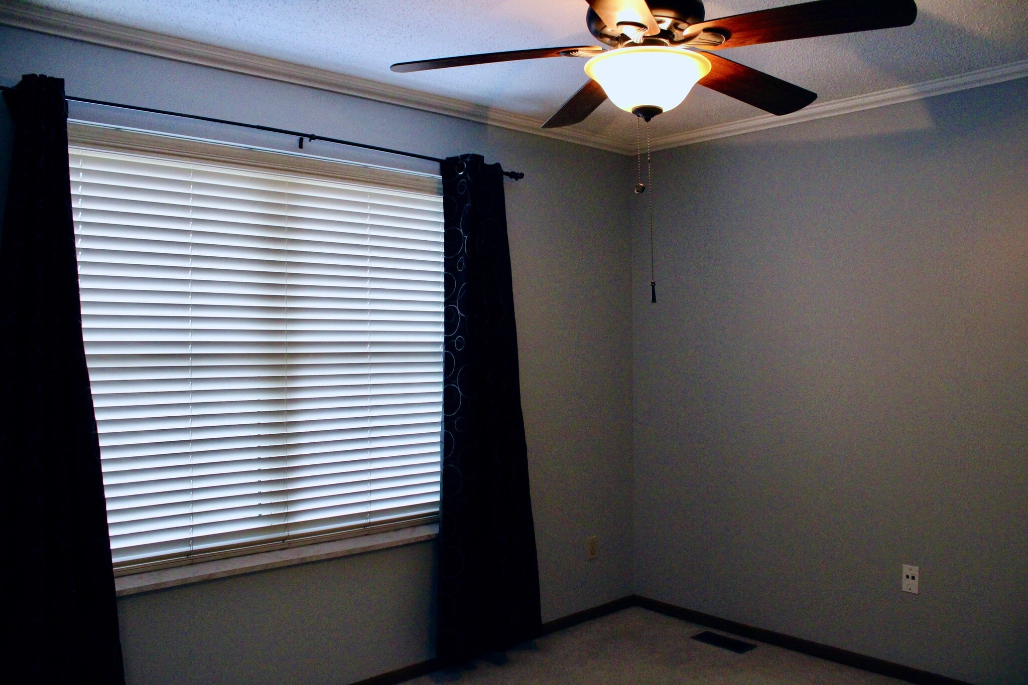 Master Bedroom - 10523 Briston Ct