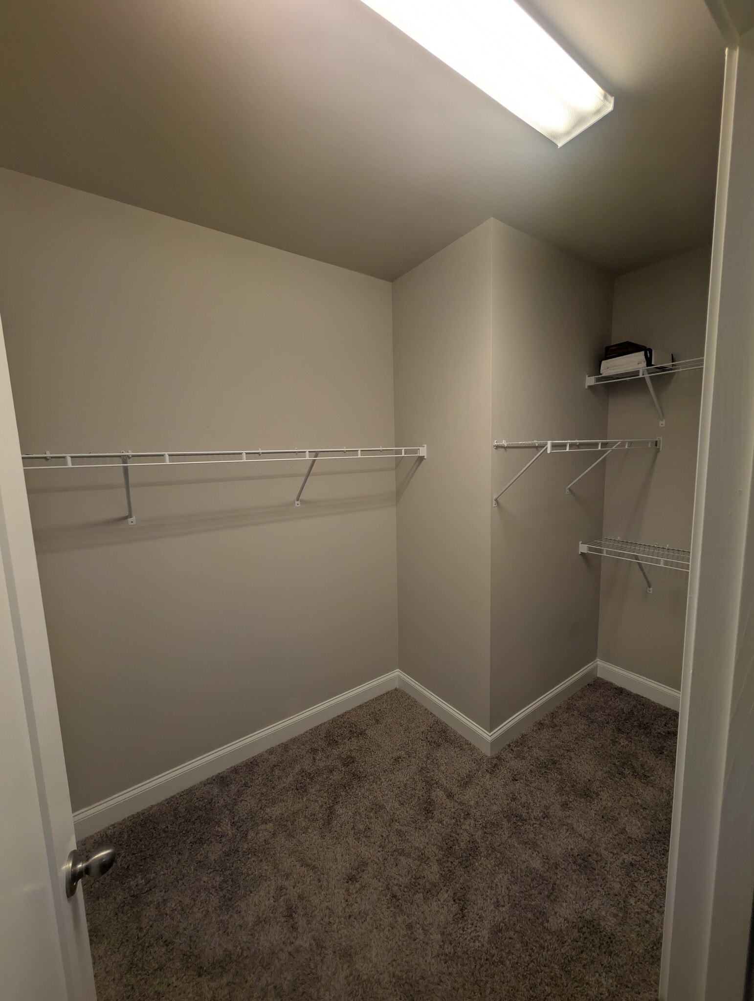 Building Photo - 3209 Grapevine Ct W