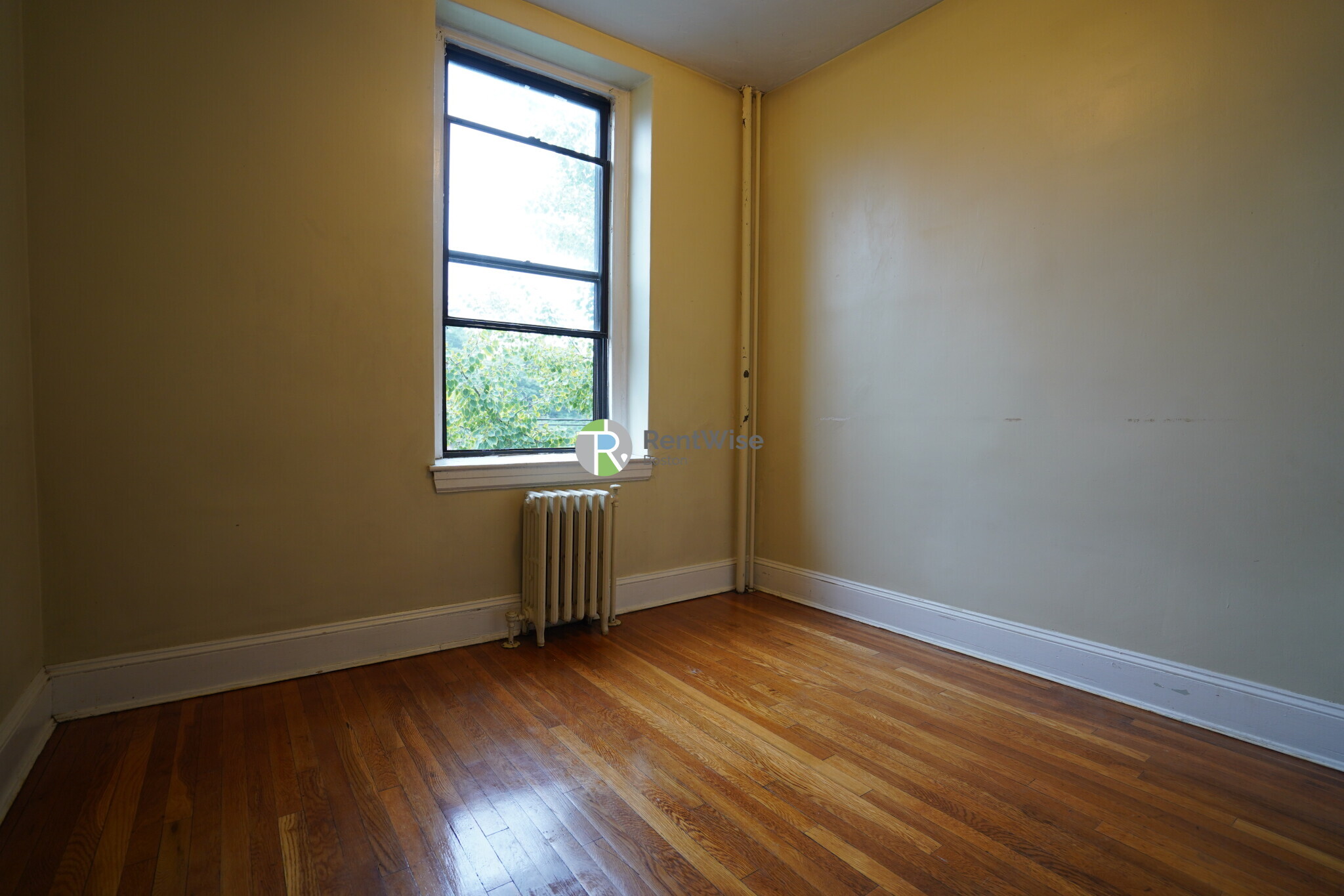Building Photo - 223 Essex St
