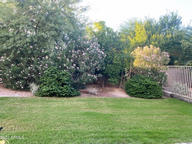 Building Photo - 27822 N 47th St