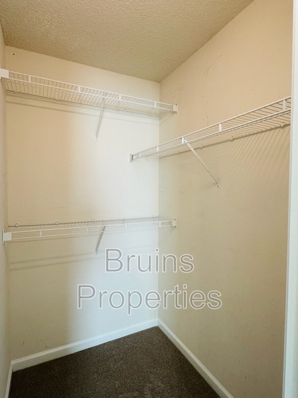 Building Photo - 6113 Hedgecock Cir