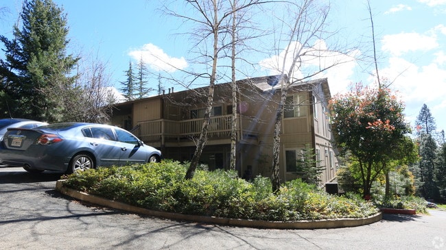 Primary Photo - Park Forest Apartments