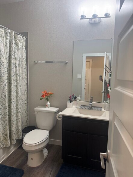 Building Photo - 3803 Ryans Rock Ct