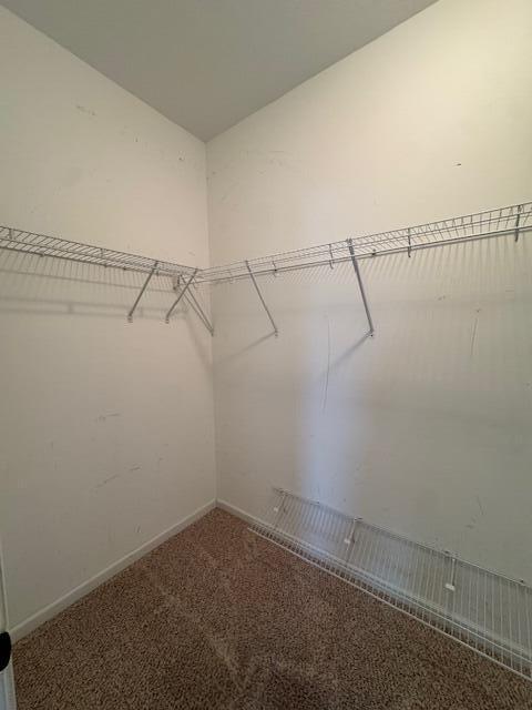 Building Photo - 3025 Heartwood Pass