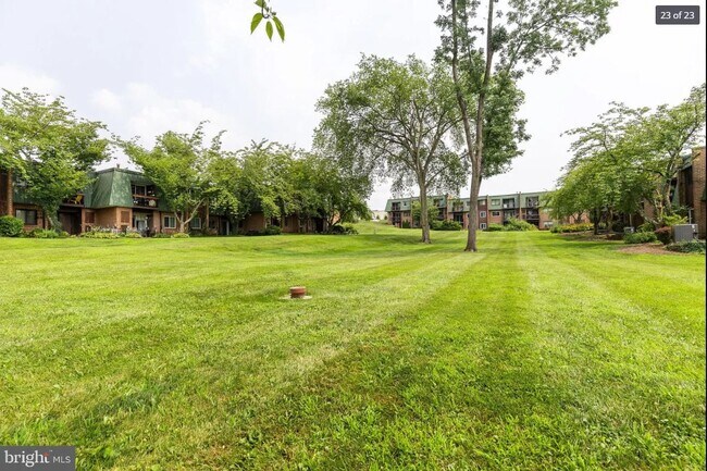 Yard - 1607 Meadowview Ln