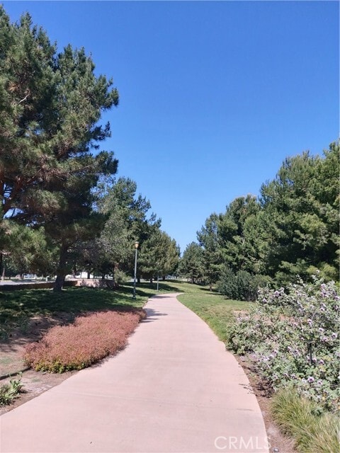 Building Photo - 27 Bluecoat