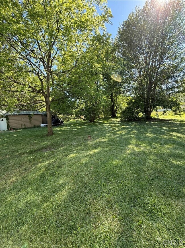 Building Photo - 8261 Oswego Rd