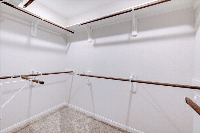 Building Photo - 2536 Malibu Gln Dr