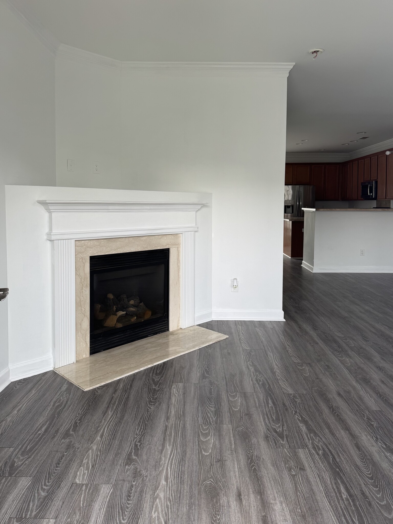 Gas fire place - 13373 Calloway Glen Dr