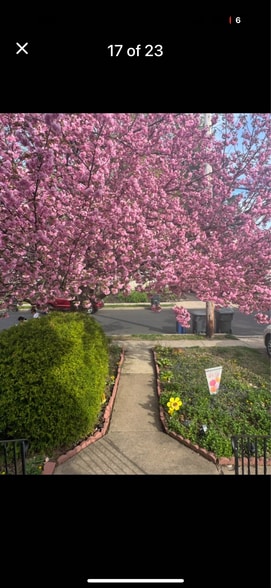 Primary Photo - 1368 High Ave