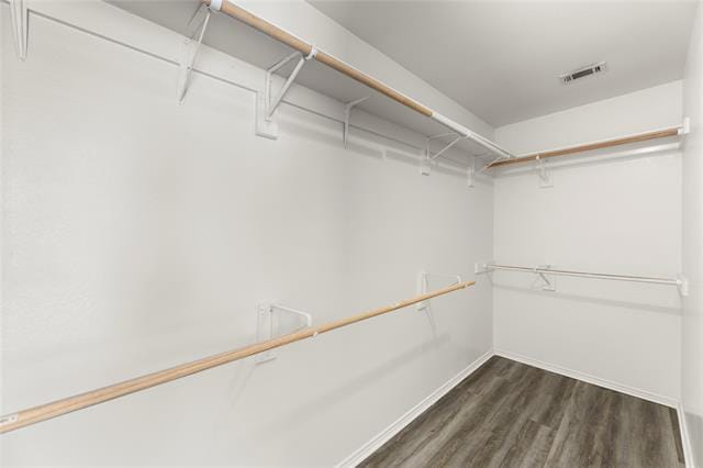 Building Photo - 3709 Martha Ln