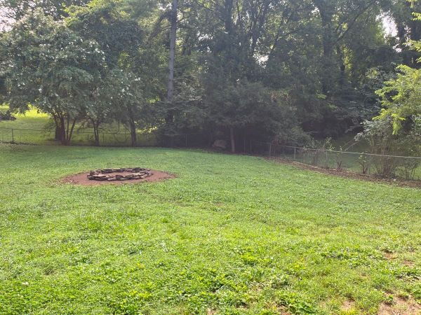 Building Photo - Cedar Bluff basement ranch!