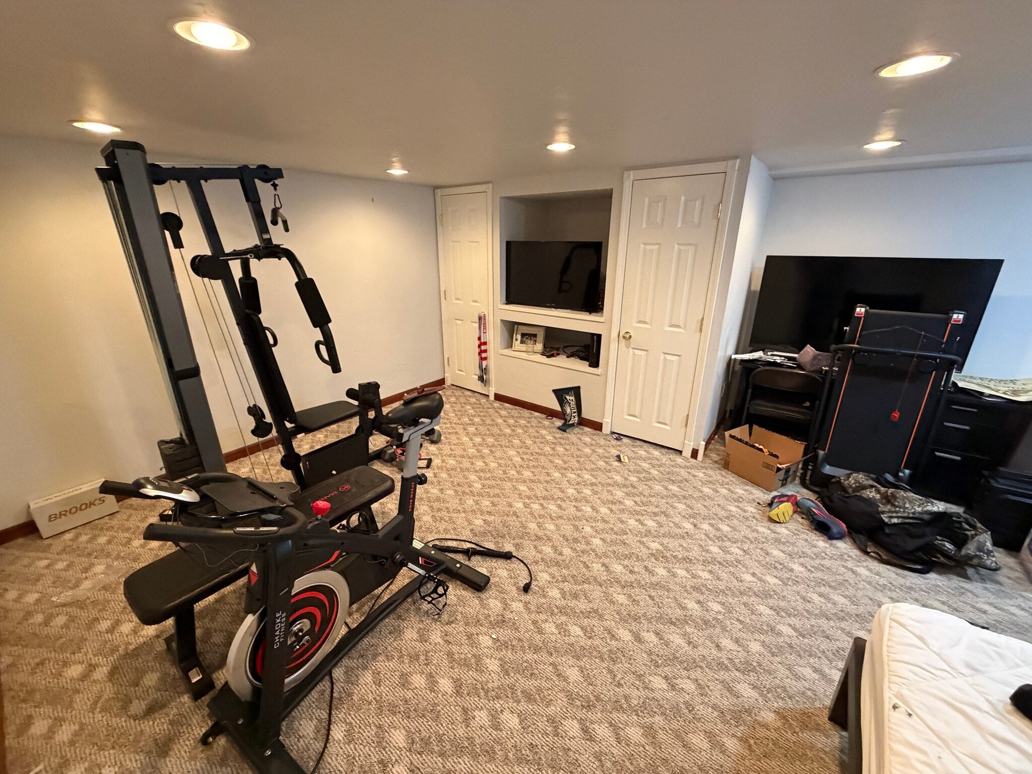 Basement - 2997 Sandia Dr