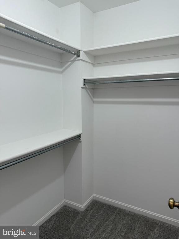 Building Photo - 8659 Bannerwood Dr