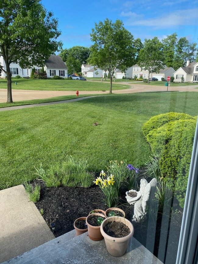 Building Photo - 25027 Rushmore Ct