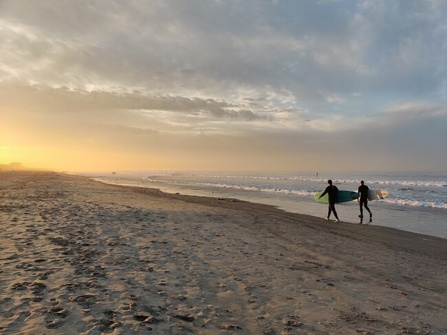 Beach at Sunrise - 1830 Avenida Del Mundo