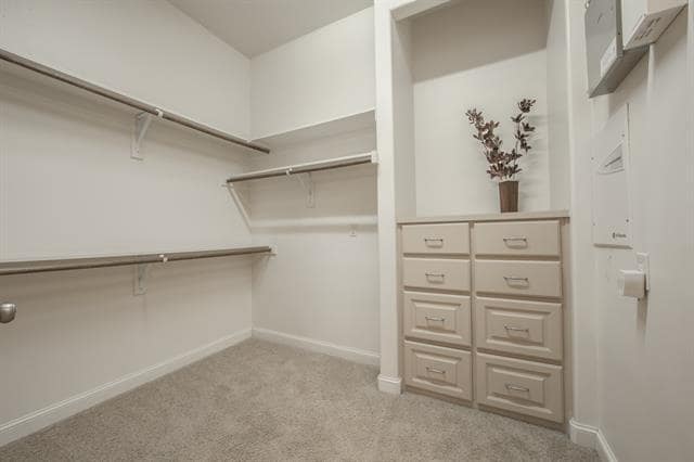 Building Photo - 708 Chapel Hill Ln