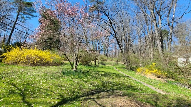 Building Photo - 11308 Popes Head Rd