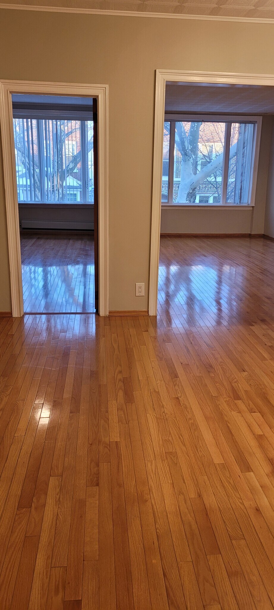 Building Photo - 53 Clara St