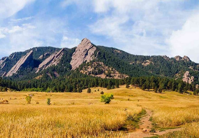 Building Photo - Beautiful & Large 4-Bd 2.5-Ba, in Boulders...