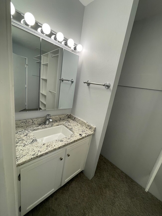 Sink Area in Main Bedroom Closet Area - 1350 Golden Cir