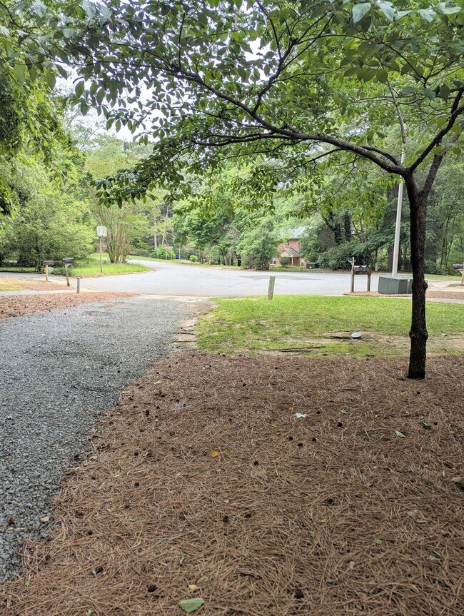 Building Photo - Fenced in Back Yard! Two Bedroom Two Bath ...