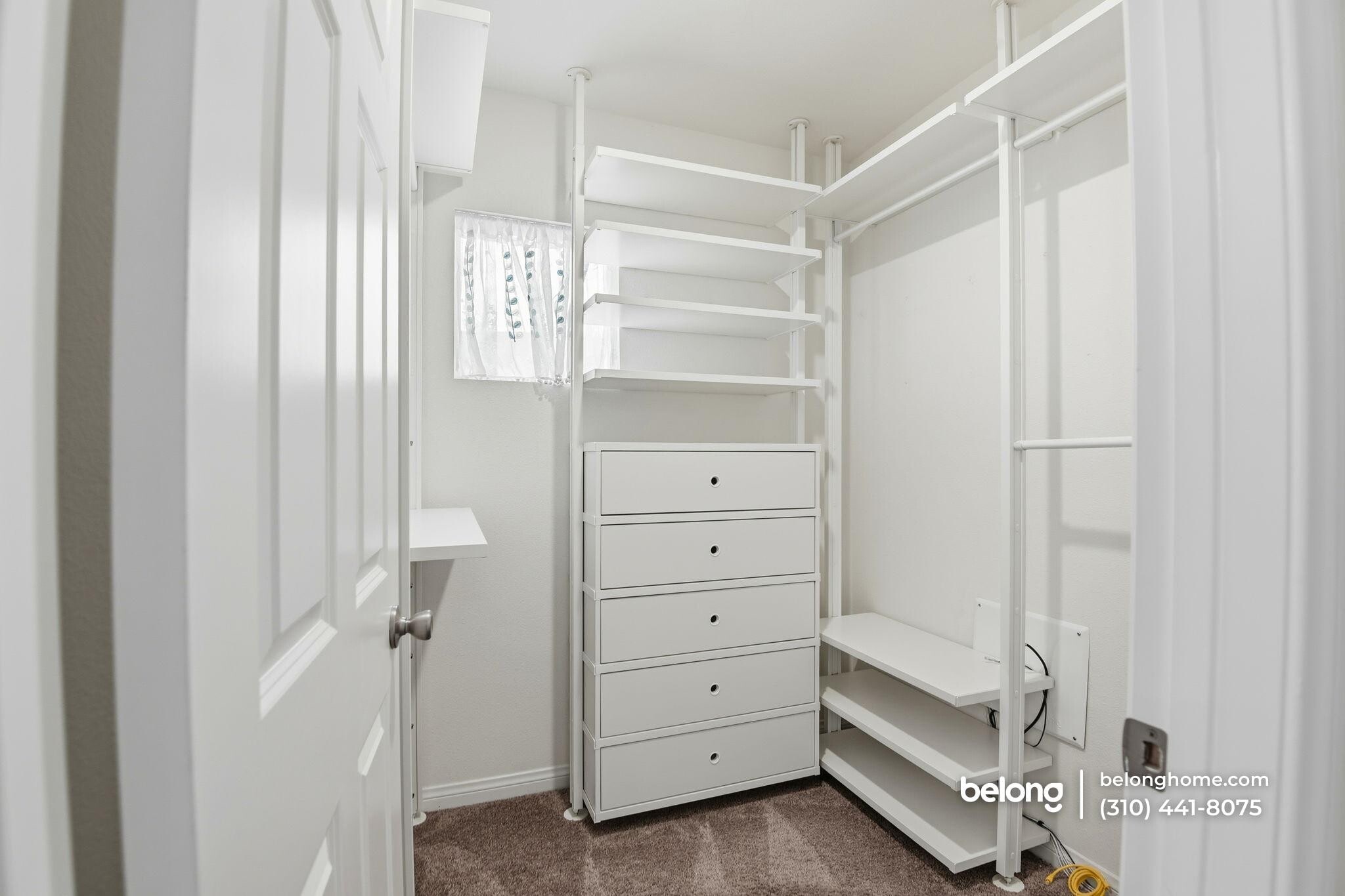 Building Photo - 14043 Royalton Ln