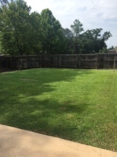 Back Yard - 227 Woodsong Drive