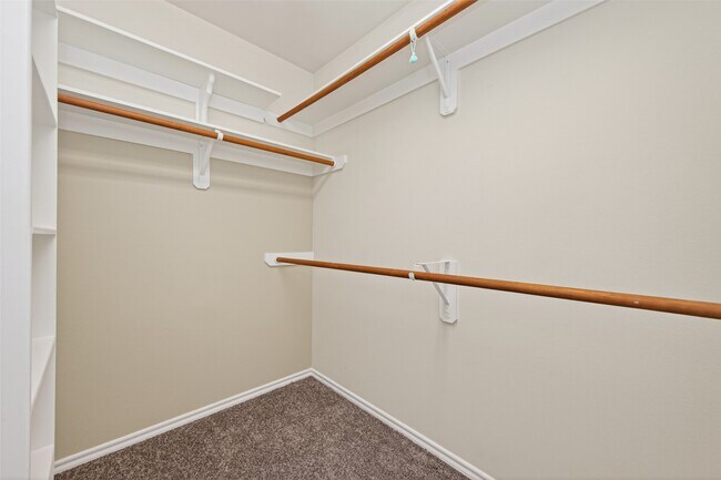 Building Photo - 169 Musewood Ct