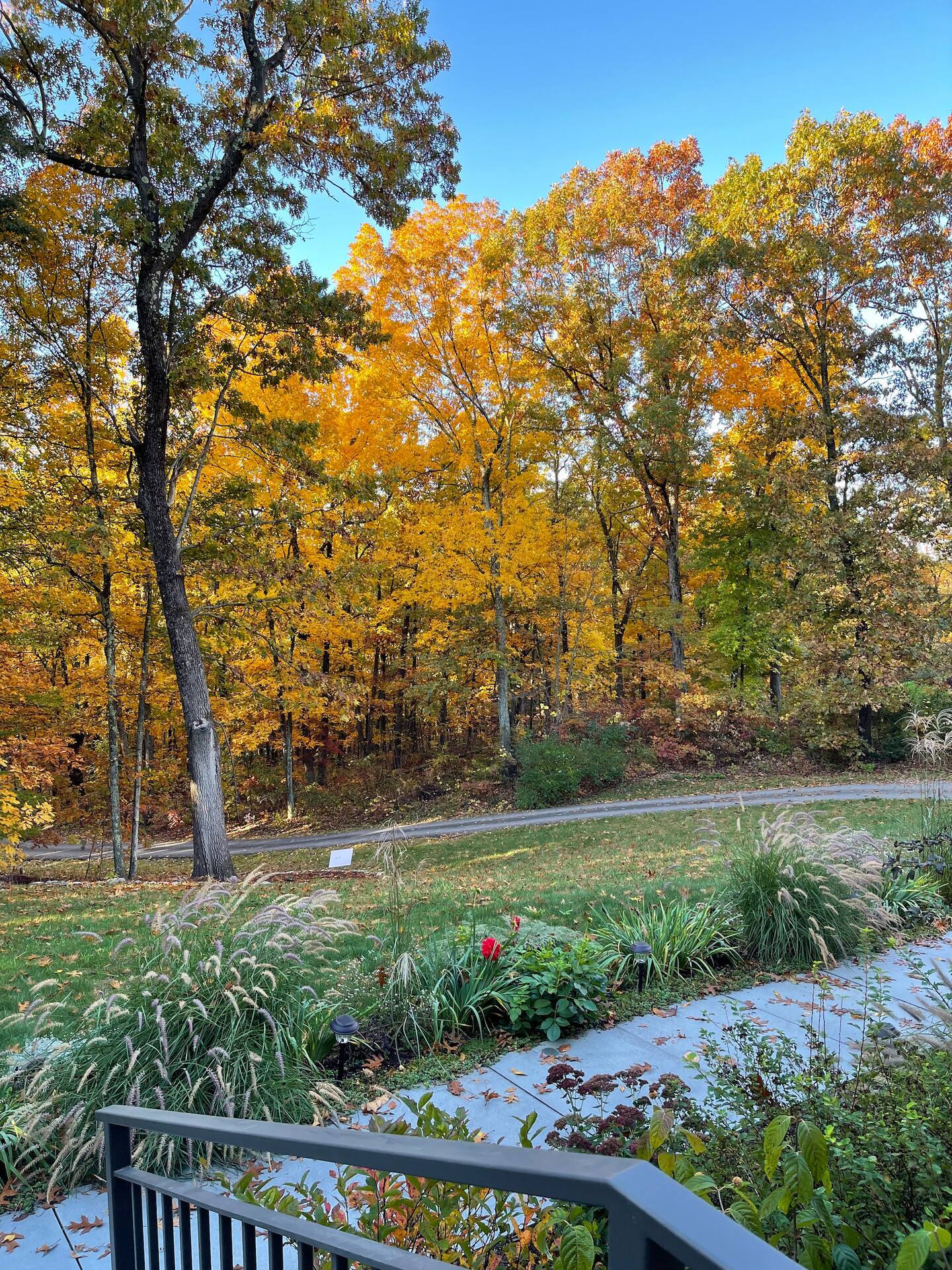 Building Photo - 20 Maple Hill Rdge