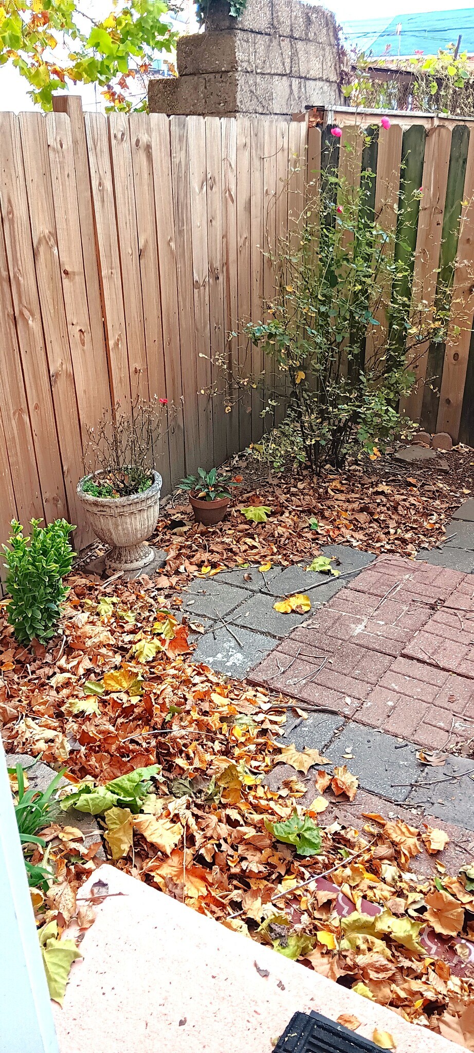 Building Photo - 1017 Hollins St