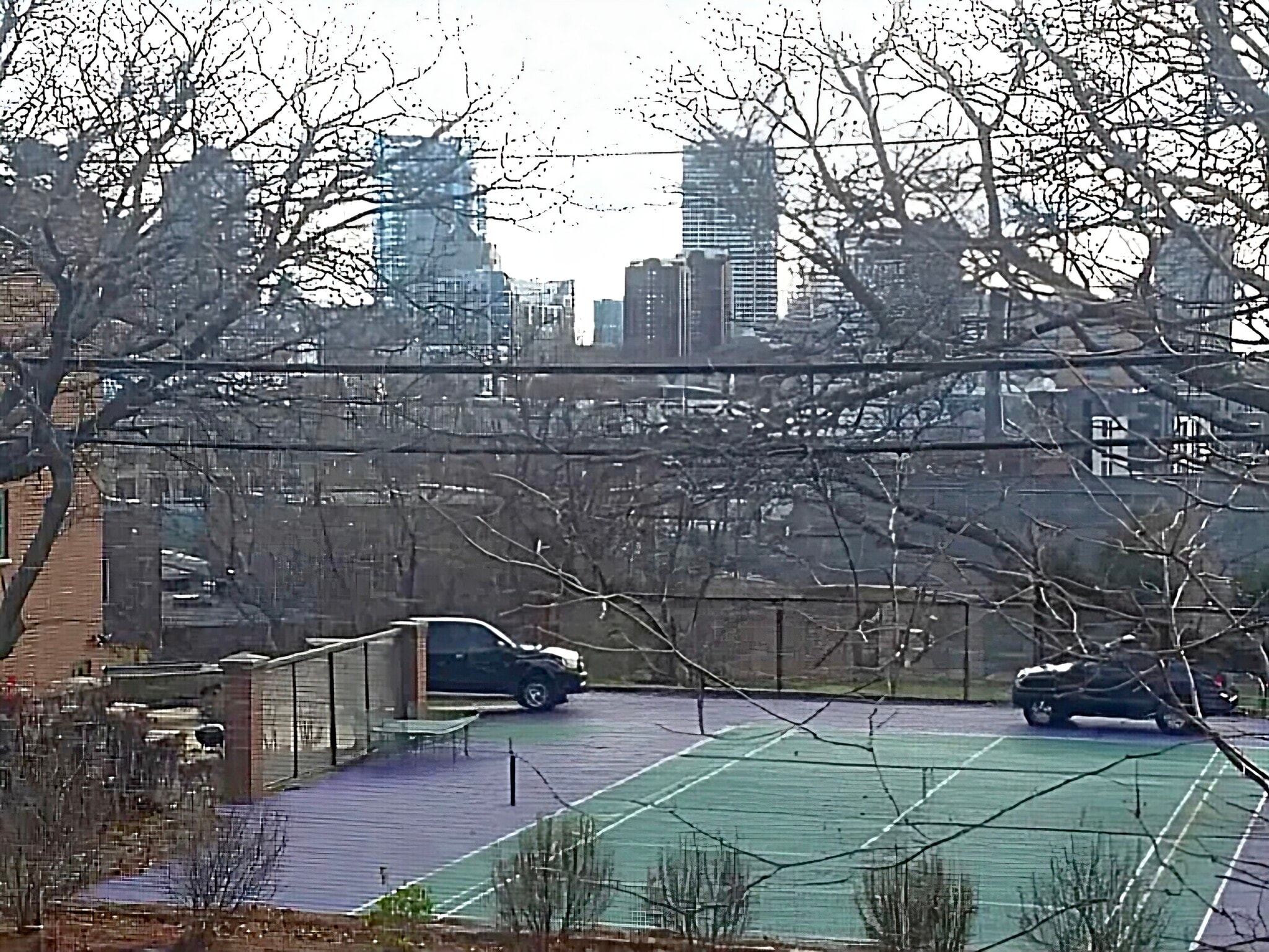 Seasonal downtown views - 1924 N Hubbard St