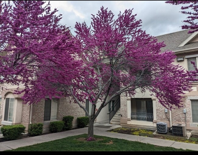 Building Photo - 543 N University Ave