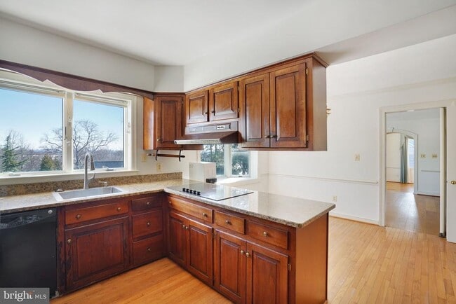 Building Photo - 513 Cathedral Dr