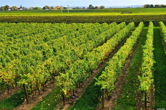 Building Photo - 400 Hill Rd