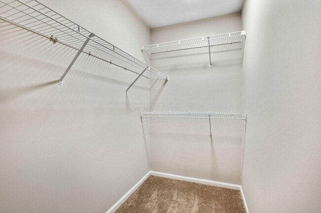 Building Photo - 4907 Stratford Pine Ln