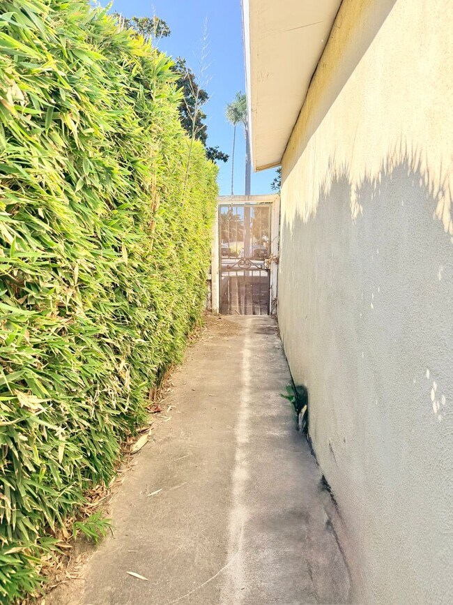 Building Photo - 3325 Porter Ln