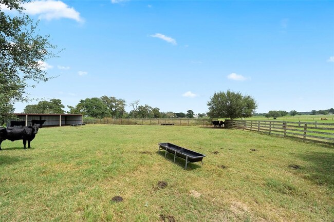 Building Photo - 34483 FM 1488 Rd
