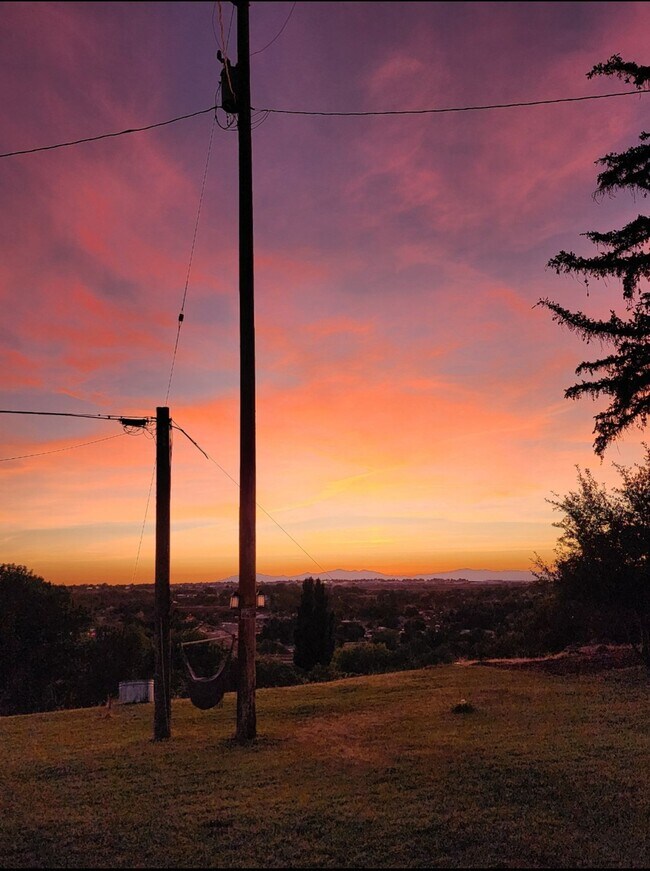 Building Photo - Beautifully updated townhouse with shop / 40'x25' garage / 12' automatic garage door
