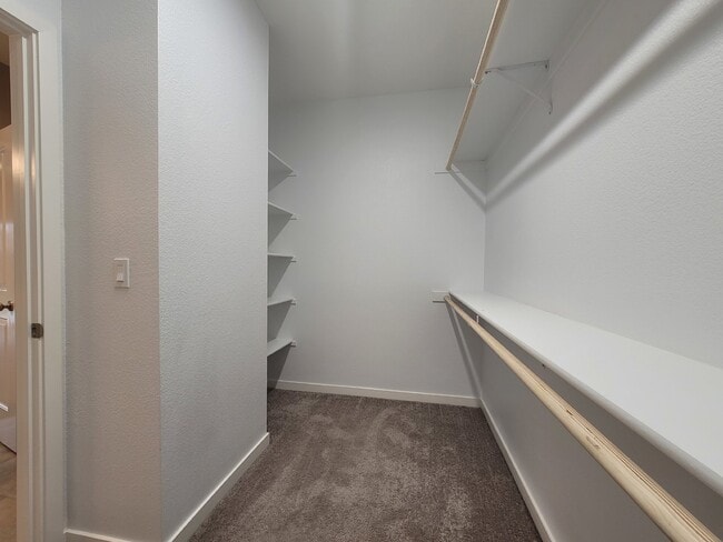 Building Photo - 1353 Molly Ave