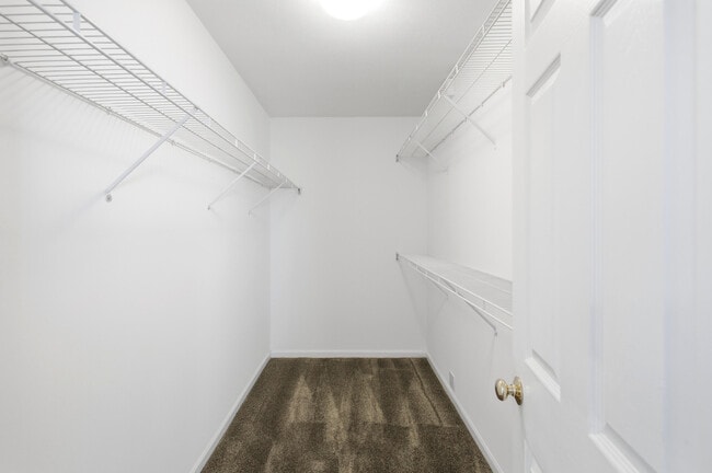 Building Photo - 3509 La Mesa Dr