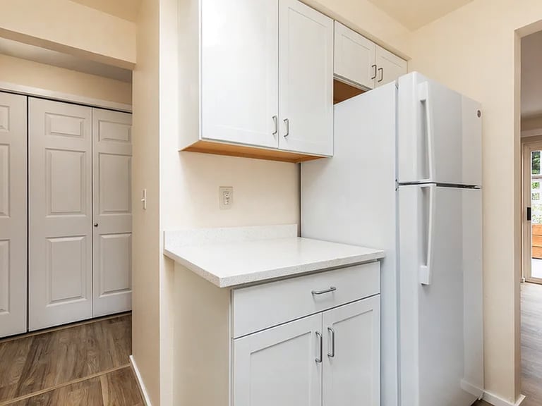 Kitchen and Fridge - 1921 Chestnut St