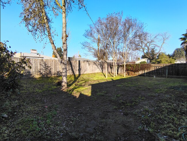 Building Photo - elvecino 7/35/10 - C