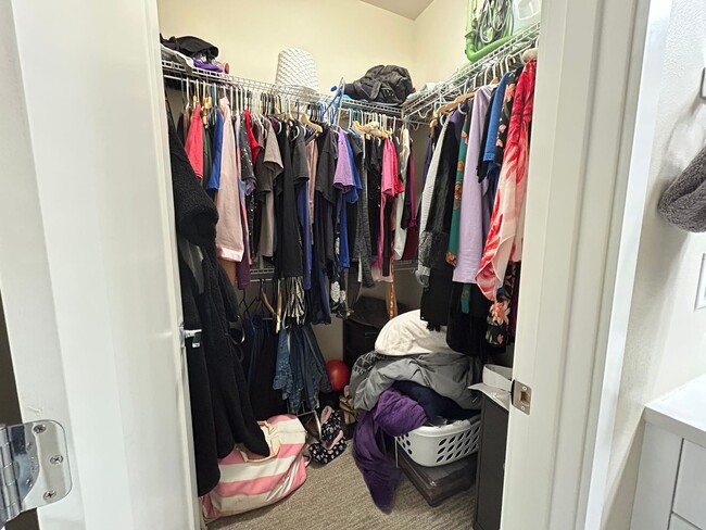 Building Photo - 3 Bedroom 2 Bath Home in Cordata with Garage