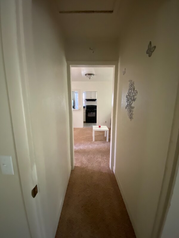 Building Photo - 1563 Willis St