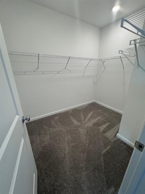 Building Photo - 2700 Skyline Lp