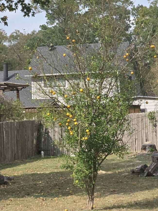 Building Photo - 254 Maple Ln