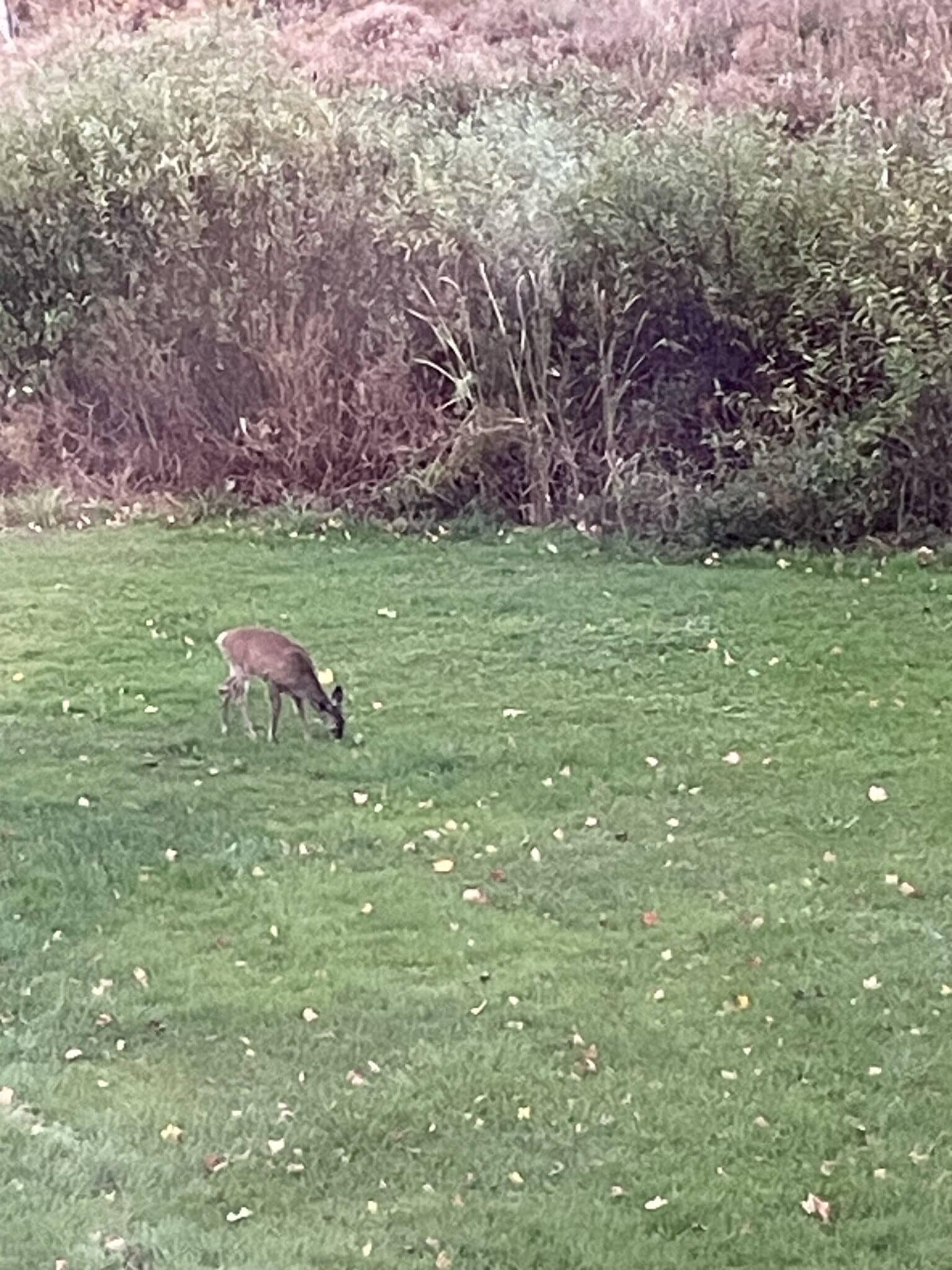 Building Photo - 273 Pond Rd