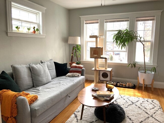 Building Photo - 50 Boylston St