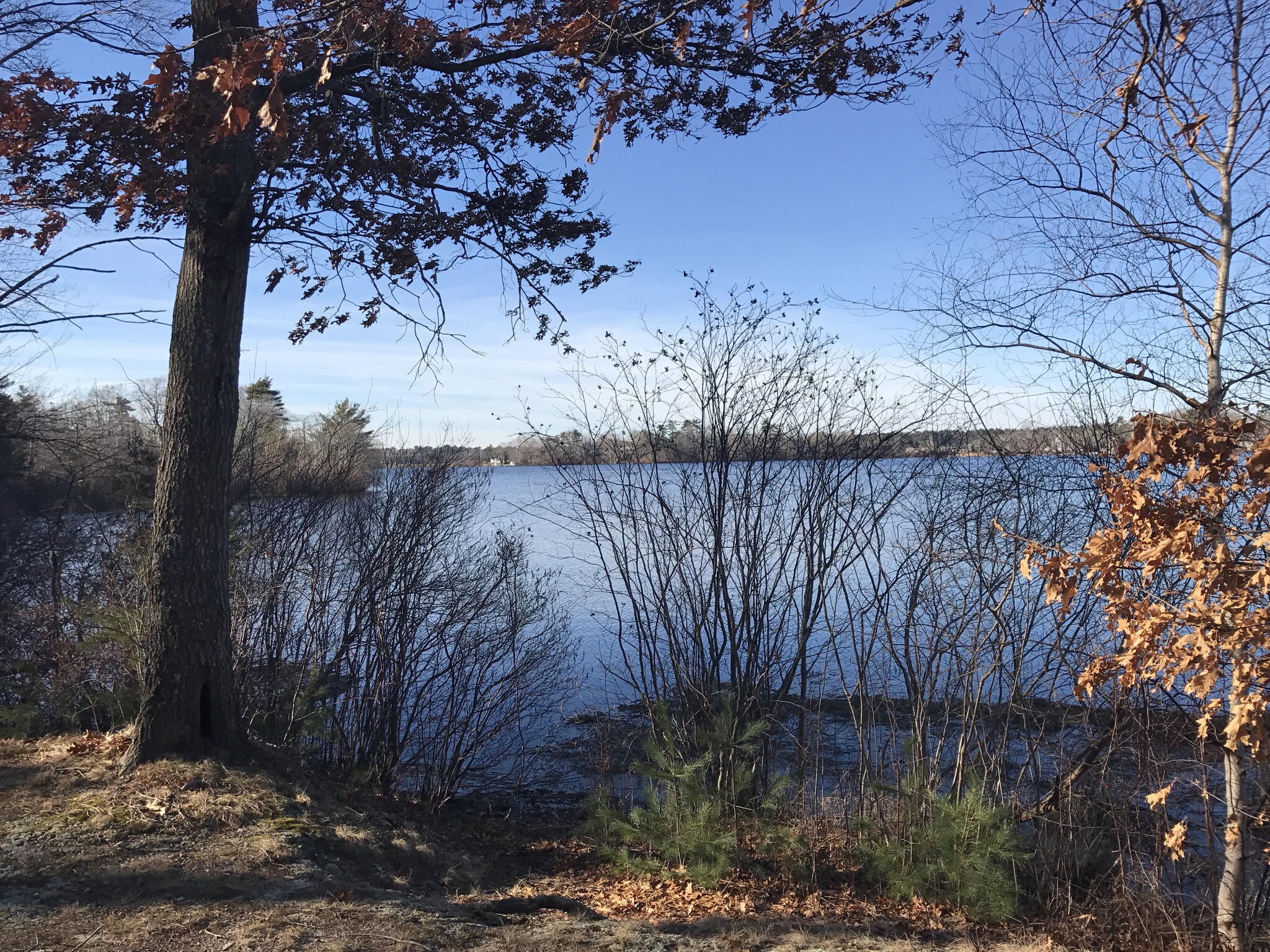 Building Photo - 522 Twin Lakes Dr